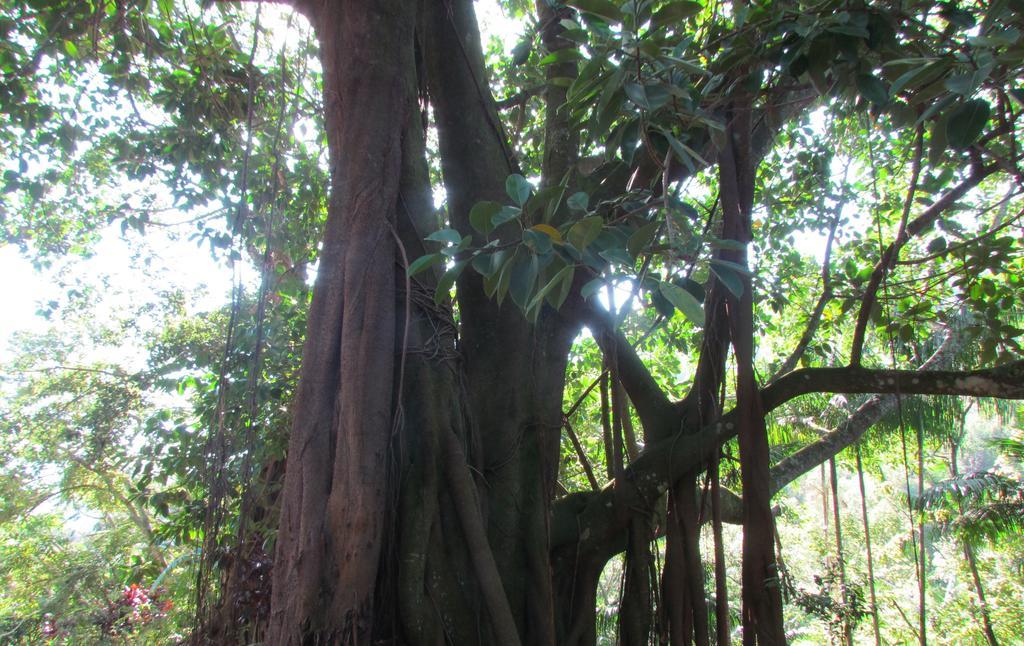 Fazenda São Miguel Vila Amparo  Quarto foto