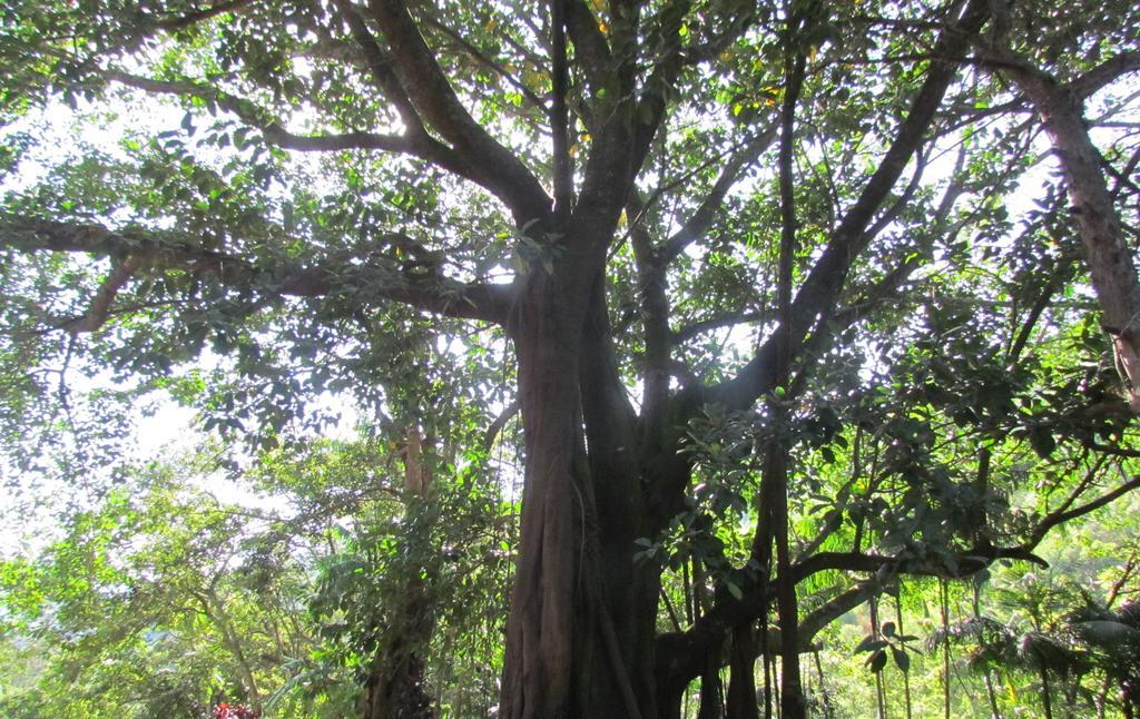 Fazenda São Miguel Vila Amparo  Quarto foto